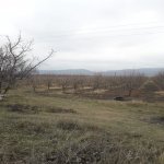 Satılır Torpaq Quba 1