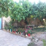 Kirayə (günlük) 3 otaqlı Həyət evi/villa İsmayıllı 4