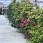 Satılır 6 otaqlı Həyət evi/villa, Novxanı, Abşeron rayonu 23