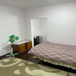 Kirayə (aylıq) 2 otaqlı Həyət evi/villa, Əhmədli metrosu, Xətai rayonu 10