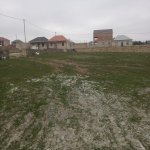 Satılır Torpaq, Güzdək, Abşeron rayonu 6