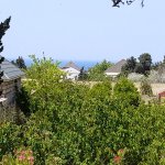 Satılır 4 otaqlı Bağ evi, Goradil, Abşeron rayonu 29
