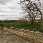 Satılır Torpaq Neftçala 4