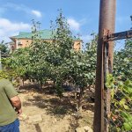 Продажа Участок, Метро Ходжасан метро, пос. Сулутяпя, Бинагадинский р-н район 4