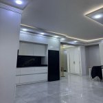 Kirayə (aylıq) 2 otaqlı Yeni Tikili, Gənclik metrosu, Nəsimi rayonu 9