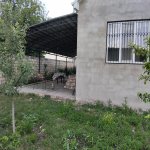 Kirayə (günlük) 3 otaqlı Həyət evi/villa Qusar 1