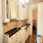 Kirayə (aylıq) 3 otaqlı Yeni Tikili, Sahil metrosu, Nəsimi rayonu 9