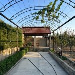 Satılır 4 otaqlı Bağ evi, Xəzər rayonu 6