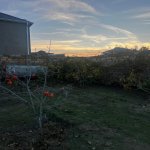 Satılır 5 otaqlı Bağ evi, Goradil, Abşeron rayonu 25