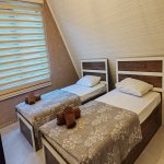 Kirayə (günlük) 3 otaqlı Həyət evi/villa Qəbələ 10