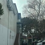 Kirayə (aylıq) Obyekt, Binəqədi rayonu 30