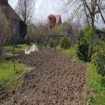 Satılır 6 otaqlı Həyət evi/villa Lənkəran 16