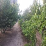 Kirayə (aylıq) 3 otaqlı Bağ evi, Şağan, Xəzər rayonu 3