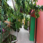 Kirayə (günlük) 4 otaqlı Həyət evi/villa Xaçmaz / Nabran 3
