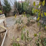 Продажа 5 комнатная Дома/Виллы, Бузовна, Хязяр район 36