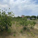 Satılır Torpaq, Maştağa qəs., Sabunçu rayonu 5