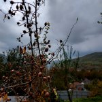 Satılır 2 otaqlı Həyət evi/villa İsmayıllı 10