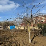 Продажа Участок, Горадиль, Абшерон район 4