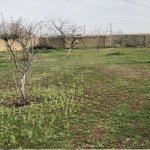 Satılır Torpaq, Saray, Abşeron rayonu 5