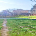 Satılır 10 otaqlı Həyət evi/villa, Şağan, Xəzər rayonu 6