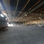 Kirayə (aylıq) Obyekt, Aşağı Güzdək, Abşeron rayonu 6