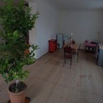 Satılır 5 otaqlı Bağ evi İsmayıllı 4