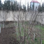 Satılır 6 otaqlı Bağ evi, Novxanı, Abşeron rayonu 29