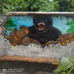 Kirayə (günlük) 3 otaqlı Həyət evi/villa Qax 14