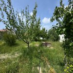 Продажа Участок, Мярдякан, Хязяр район 7