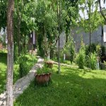 Kirayə (günlük) 3 otaqlı Həyət evi/villa Qəbələ 8