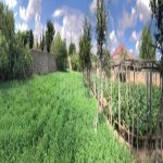 Satılır Torpaq, Maştağa qəs., Sabunçu rayonu 5