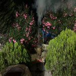 Продажа 10 комнатная Дома/Виллы, Горадиль, Абшерон район 10