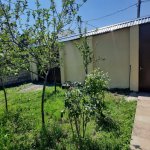 Kirayə (günlük) 2 otaqlı Həyət evi/villa Qəbələ 12