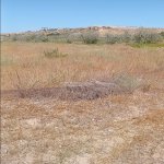 Продажа Участок, пос. Нардаран, Сабунчу район 4