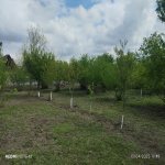 Satılır 4 otaqlı Həyət evi/villa Oğuz 11