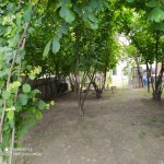 Kirayə (günlük) 3 otaqlı Həyət evi/villa Qax 8