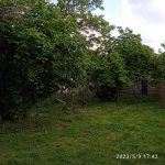 Посуточно 3 комнатная Дома/Виллы Исмаиллы 3