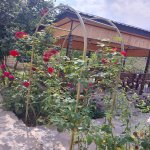 Kirayə (günlük) 3 otaqlı Həyət evi/villa İsmayıllı 1