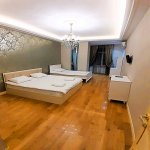 Продажа 3 комнат Новостройка, м. 28 Мая метро, Цирк, Насими район 12