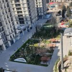 Kirayə (aylıq) 2 otaqlı Yeni Tikili, Nərimanov rayonu 12