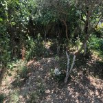 Satılır 7 otaqlı Həyət evi/villa, Masazır, Abşeron rayonu 19
