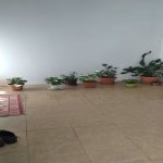 Kirayə (aylıq) 3 otaqlı Həyət evi/villa, Masazır, Abşeron rayonu 9