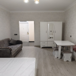 Аренда 1 комнатная Вторичка, Ахмедли, Хетаи район 3