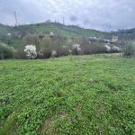 Satılır Torpaq Quba 3