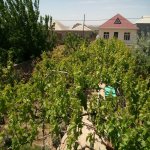 Satılır 4 otaqlı Həyət evi/villa, Binə qəs., Xəzər rayonu 17