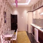 Kirayə (aylıq) 2 otaqlı Yeni Tikili, 28 May metrosu, Nəsimi rayonu 14