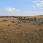 Продажа Участок, Сарай, Абшерон район 12