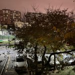Kirayə (aylıq) 2 otaqlı Köhnə Tikili, Qara Qarayev metrosu, 8-ci kilometr, Nizami rayonu 15