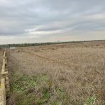 Satılır Torpaq, Zığ qəs., Suraxanı rayonu 3