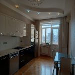 Kirayə (aylıq) 3 otaqlı Yeni Tikili, Gənclik metrosu, Nərimanov rayonu 9